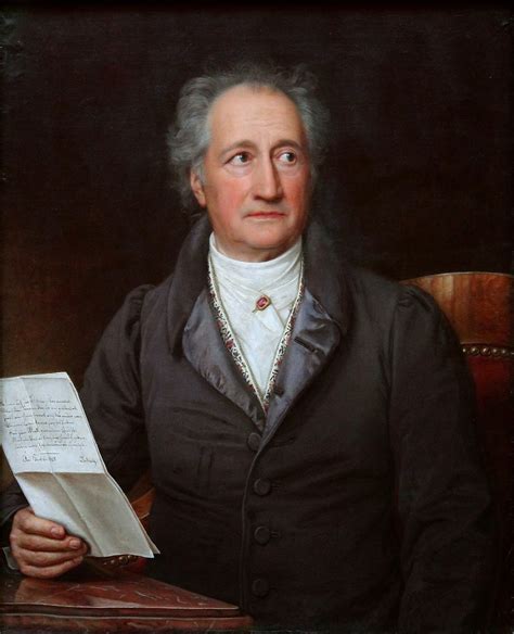 Johann Wolfgang Von Goethe O Metafísico Da Língua Templo Cultural