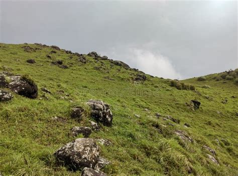 Mountain Slope And Green Meadows In Kerala Stock Photo Image Of