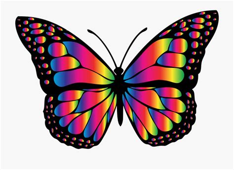 Rainbow Watercolor Butterfly Clipart Pack Clear Background Png My Xxx Hot Girl