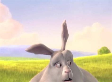 But somewhere on the other side of the woods, a recently awoken enormous and utterly adorable fluffy rabbit named big buck bunny is heartlessly. Picture of Big Buck Bunny