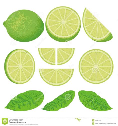 Lime Slices Clipart 20 Free Cliparts Download Images On Clipground 2024
