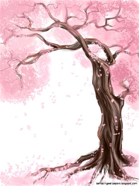Cherry Blossom Tree Drawing Amazing Wallpapers