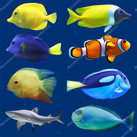 Set Of Tropical Fish Vector Illustration Stock Vector Image By