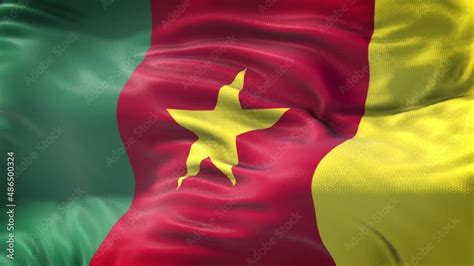 Cameroon Flag Is Waving Slow Motion In Full Screen Loopable 4k