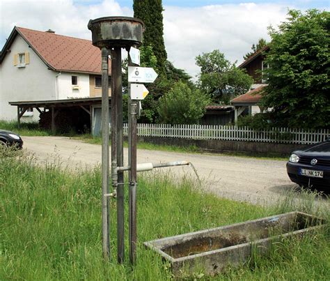 Bewerbung auf einen ausbildungsplatz 5. Beispiele für eine Teilsäule im Allgäu - mit Verkalkungen ...