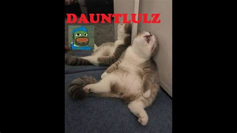 Dauntless Insomnia Sucks Ass Late Night Stream Youtube
