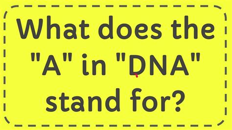 What Does The A In Dna Stand For Youtube
