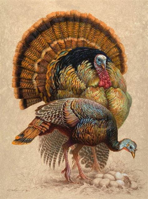 Pin By Carol Stenzel On Animals Turkey Art Thanksgiving Art Turkey