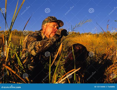 Duck Hunter And Dog Stock Photo Image Of Hunt Calling 13114446