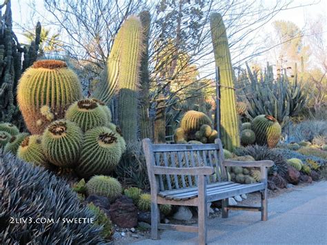 The Huntington Desert Garden Is One Of The Largest And Oldest