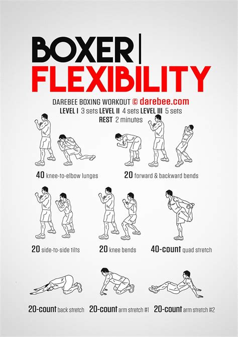 Boxer Flexibility Workout Entrenamiento De Boxeo Ejercicios De