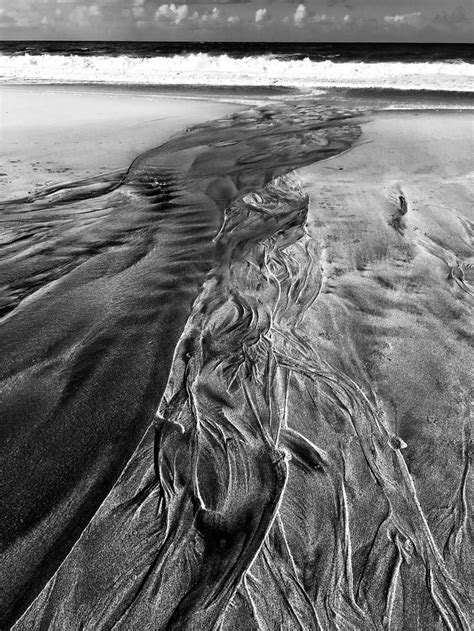 black and white beach black and white beach the shape of water black and white