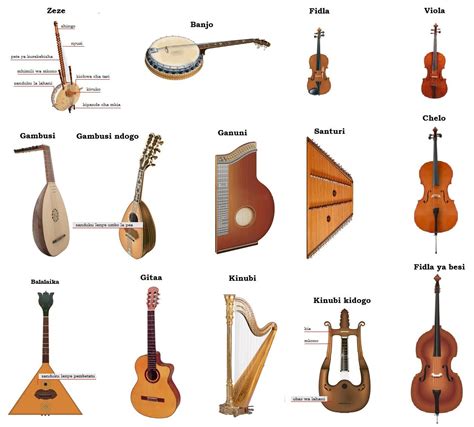 String Instruments List With Names