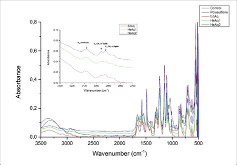 Atr Ftir Spectra Of Membranes Including Psf Base Layer Membrane Sexiezpix Web Porn