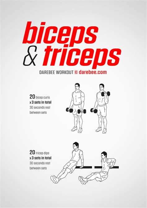 Biceps And Triceps Workout Pdf