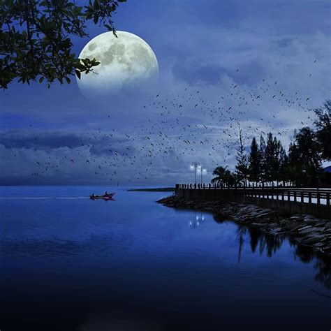 Lune Mer Bleu Océan La Nature Eau Paysage Ciel Lumière Nuit