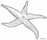 Starfish Coloring Cool2bkids Printable sketch template
