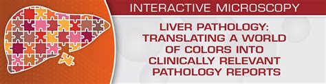 Liver Pathology Translating A World Of Colors Into Clinically Relevant