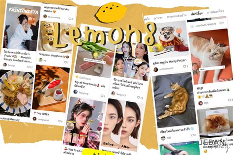 รีวิว App Lemon 8 แอปพลิเคชั่นรวมไอเดียความงาม แฟชั่นเทรนด์และไลฟสไตล์ต่างๆ มีครบในแอปเดียว