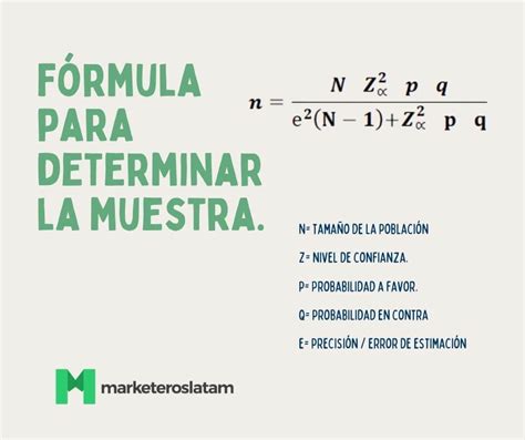 Muestra ¿cómo Determinarla En La Investigación — Marketeros Latam