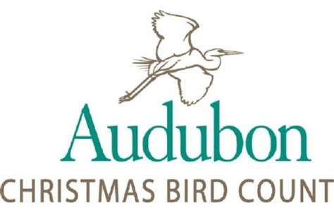 Audubon Christmas Bird Count Farmington