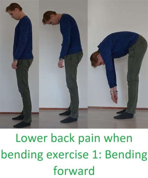 Lower Back Pain When Bending Forward Treatment With 4 Exercises 2022