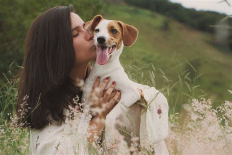 Survey Discovered That People Would Rather Kiss Their Dogs Than Their