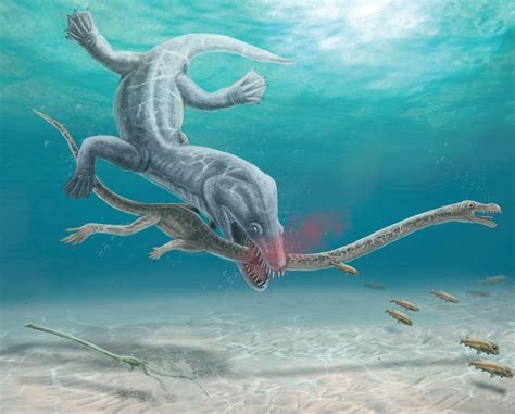 Fossils Show Ancient Long Necked Sea Beasts Gruesome Decapitation