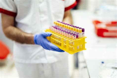 Lab Assistant Holding Blood Test Tubes In Holder For Examination Stock