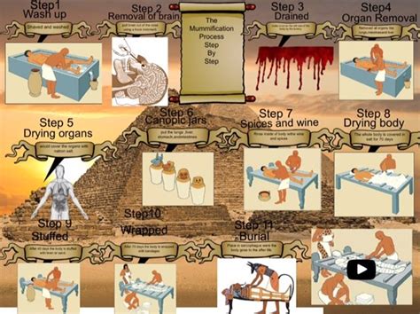 Mummification Process Steps Mummification Process World History
