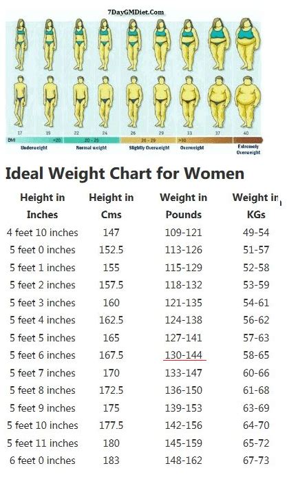 What Is Ideal Weight For 5 5 Female Blog Dandk