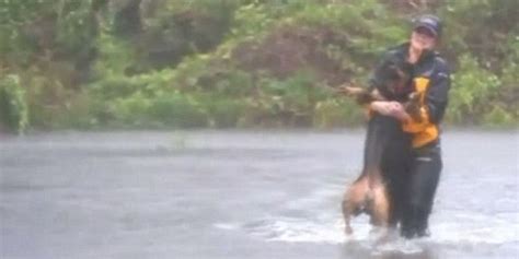Reporter Rescues Dog From Treacherous Hurricane Florence Flood Waters