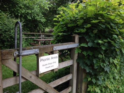 15 best picnic spots in Oxfordshire - A family day out in 2021 | Picnic