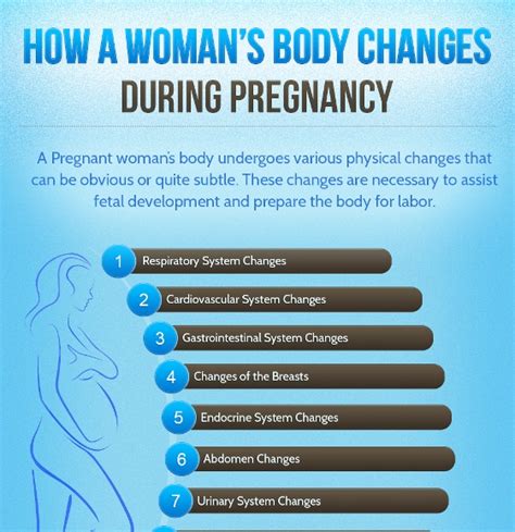 Body Changes In Women Due To Pregnancy Infographic