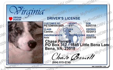 Digital driver license status is also west virginia. Virginia Pet ID License