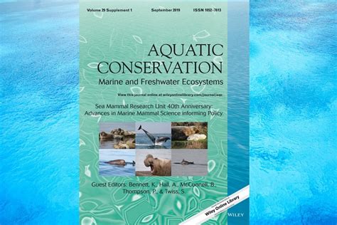 Marking 40 years of the Sea Mammal Research Unit | University of St