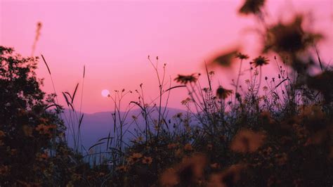 Download Wallpaper 1366x768 Landscape Grass Sun Mountains Sunset