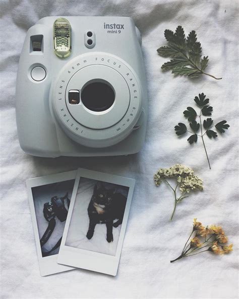 Aesthetic Polaroid Camera And Flowers 🌿 Aesthetic Polaroidcamera