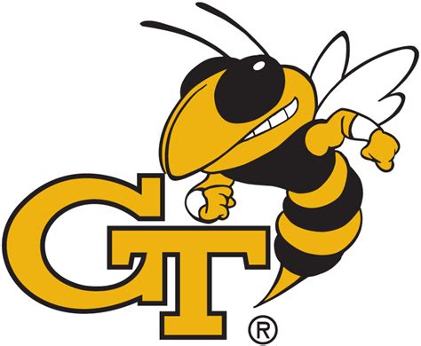 Georgia Tech Yellow Jackets Secondary Logo Ncaa Division I D H