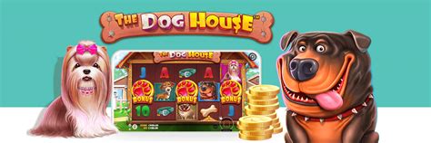 Play The Dog House Slot Game Get Started With Jackie Jackpot