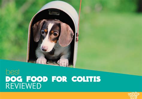 Practitioners with a more holistic mindset are more likely to recommend natural remedies for dog colitis. Best Dog Food for Colitis - TOP 5 Brands in 2020 Reviewed