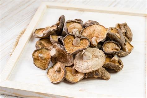 Shiitake Dermatitis What You Need To Know Health By Mushrooms