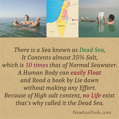 Dead Sea Is 10 Times Salty Than Normal And Human Body Float Facts