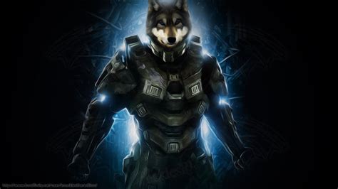 Request Master Wolf Halo 4 Morph By Knucklestheechidna53 On Deviantart