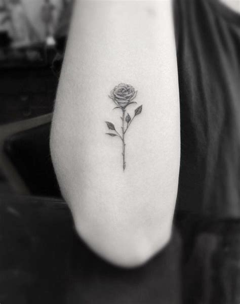 This rose sits on the front of the shoulder, and it's in bright red. Dainty rose tattoo | Modelo tatuagem, Tatuagem, Tatuagens ...