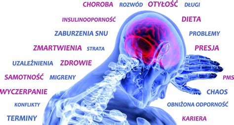 Neuroprzekaźniki i hormony stresu Cambridge Diagnostics