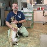 Pictures of Godley Animal Hospital