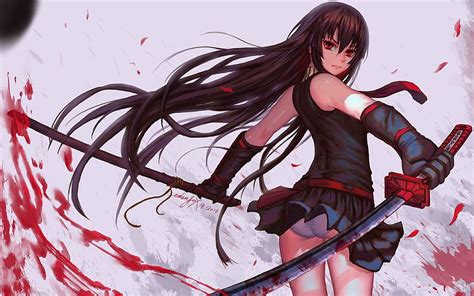 1 Anime Assassin Girl Hd Wallpaper Pxfuel