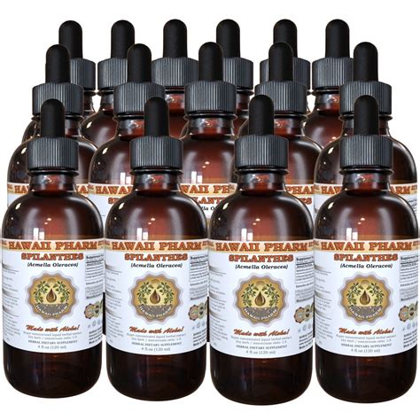 Spilanthes Acmella Oleracea Tincture Organic Dried Leaf Flowers And