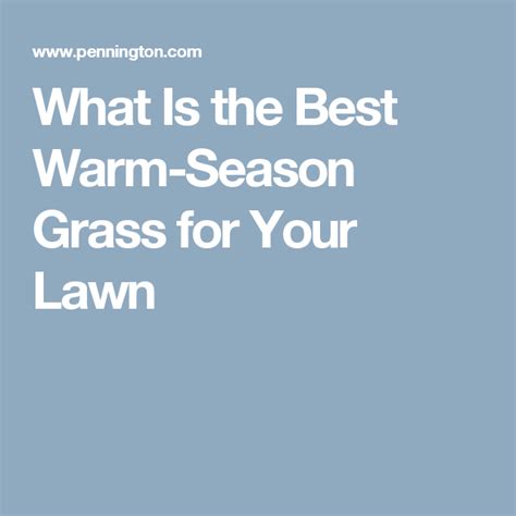 What Is The Best Warm Season Grass For Your Lawn Warm Season Grass